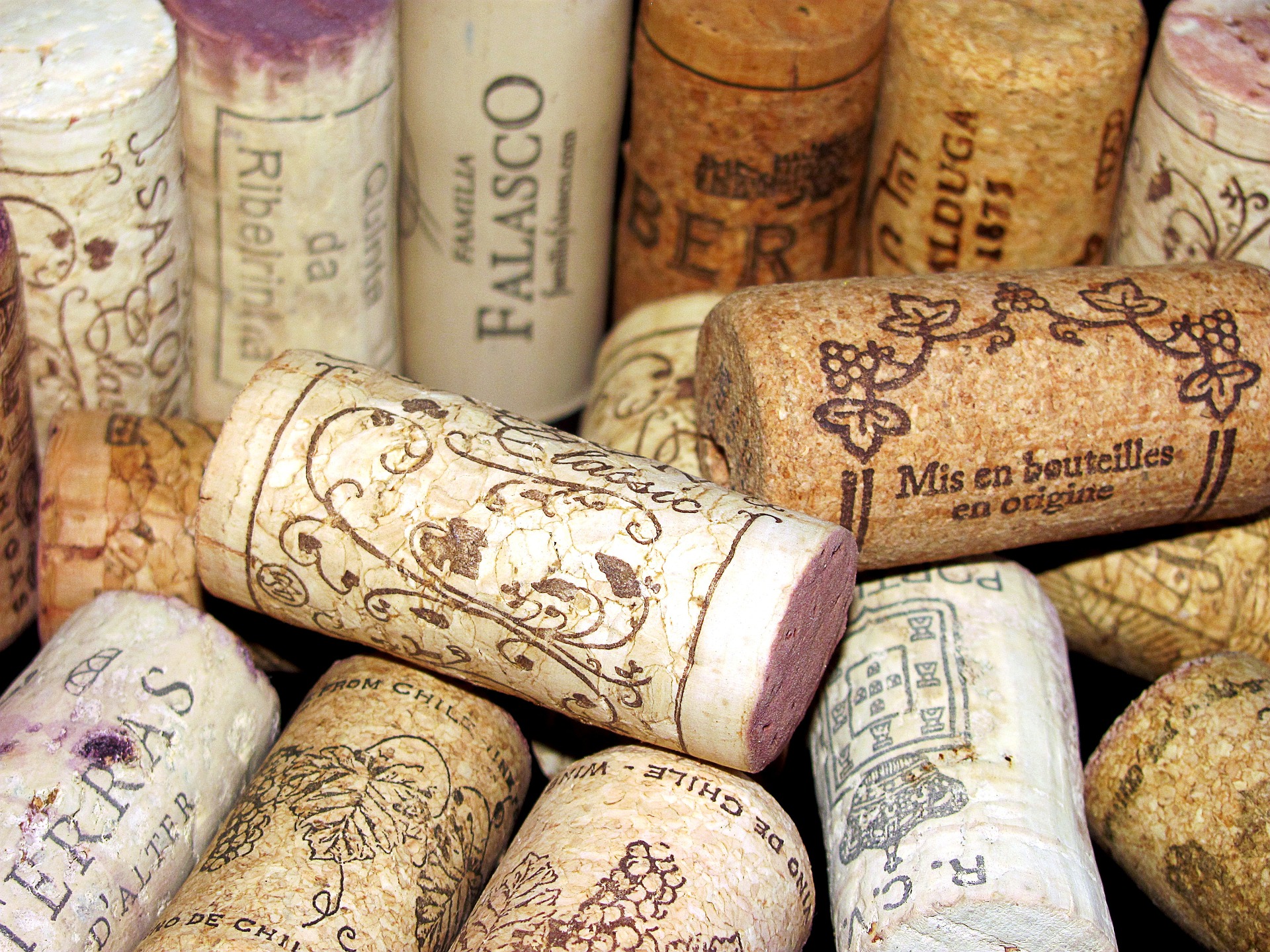 Los mejores corchos para vinos