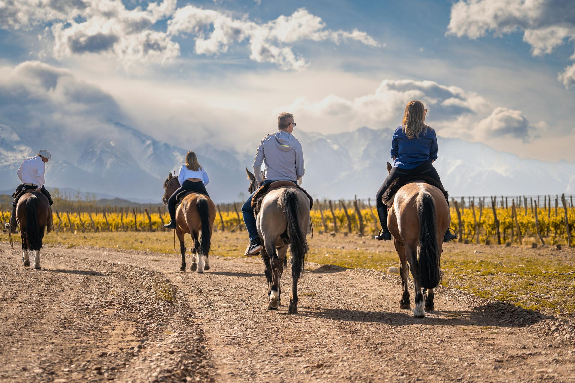 Dónde conseguir vinos de Mendoza en España