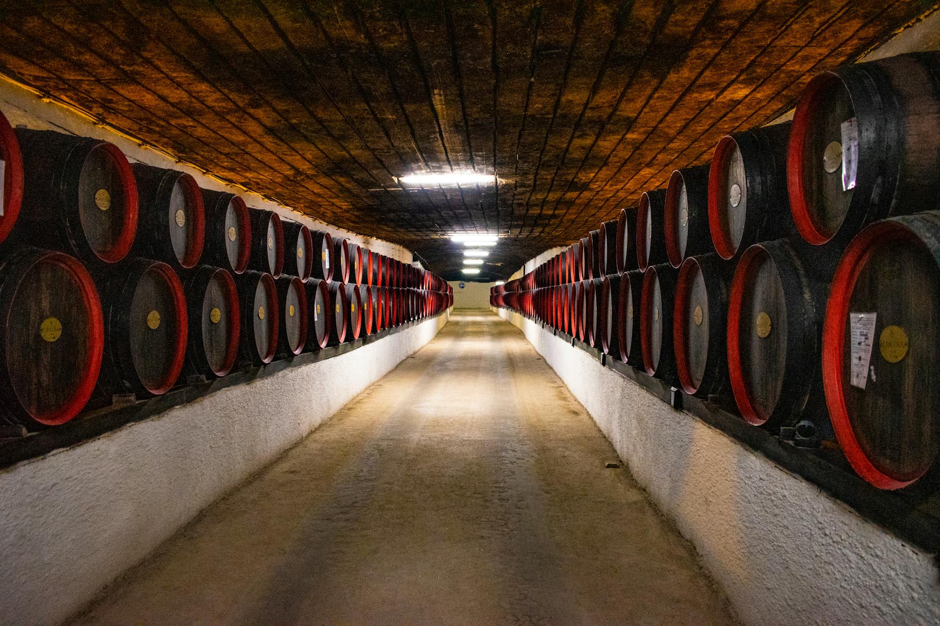 Cuál es la mejor bodega de Europa hoy en día