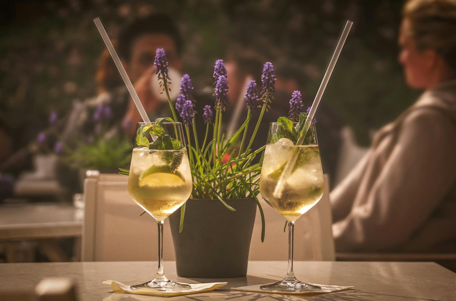 ¿Cuál es el mejor vino para hacer Rebujito?
