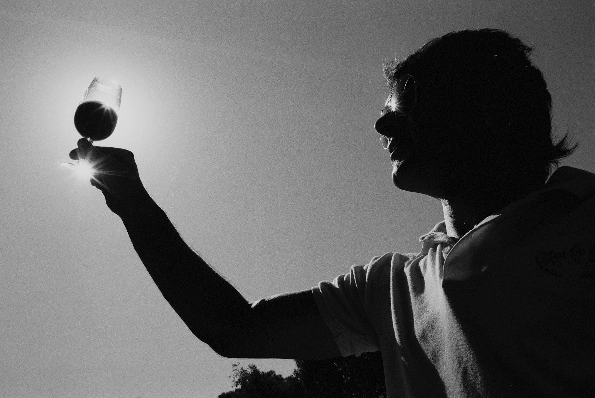 Si me gusta Malbec argentino, ¿qué español me gustaría?