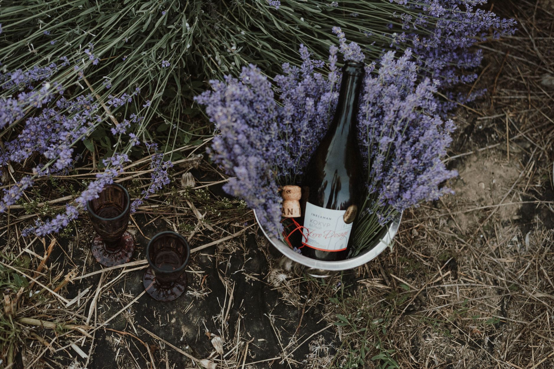 Copas de espumoso junto a una botella en un viñedo al atardecer