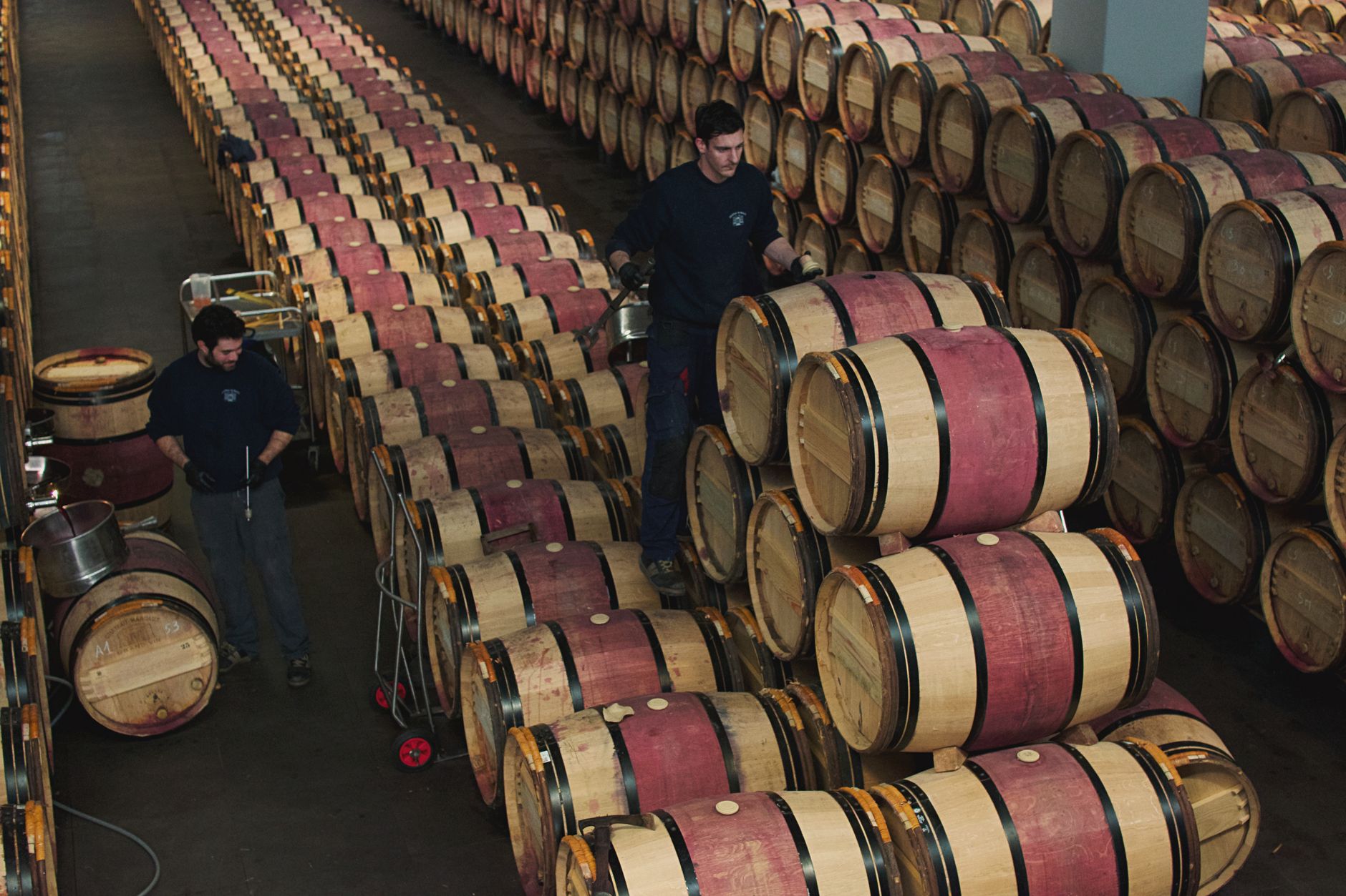 Dos copas de vino tinto junto a barricas de roble en una bodega