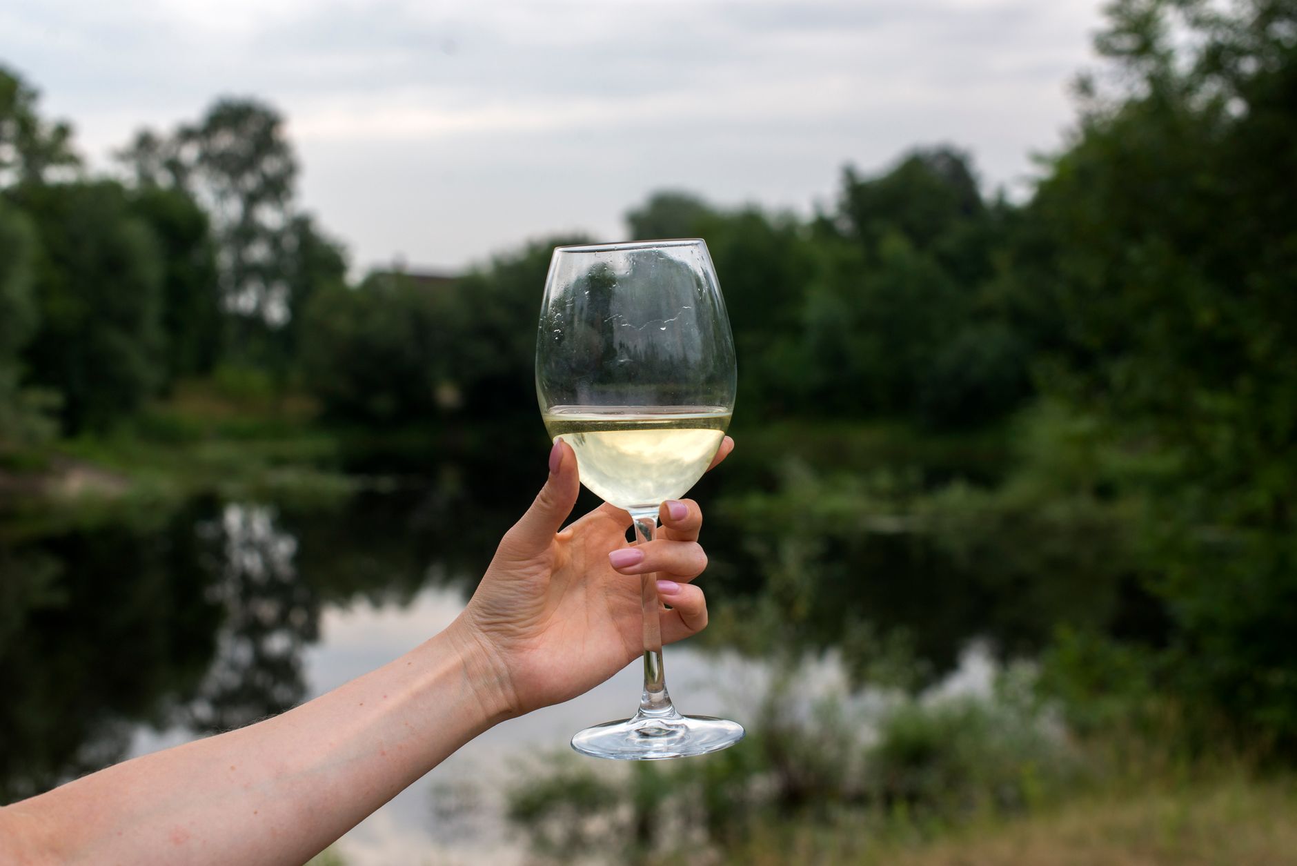 Vino verdejo: guía de la uva y de la D.O. Rueda