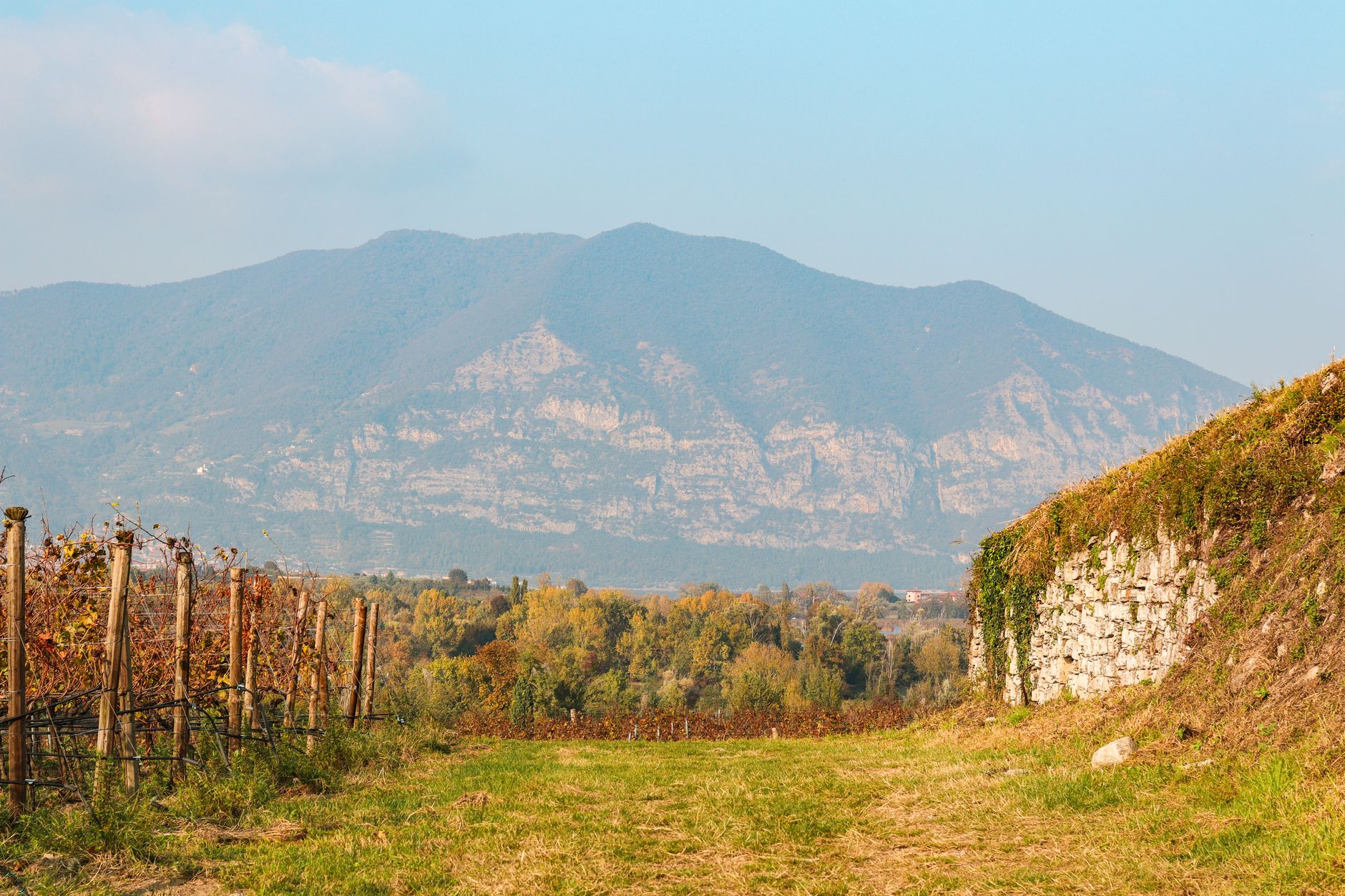 Vinos del Bierzo: mencía, godello y guía para elegir bien