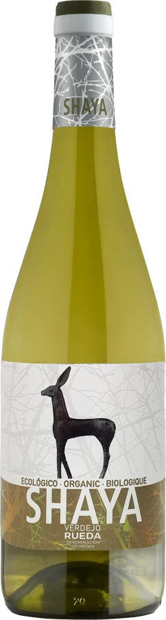 Shaya Verdejo