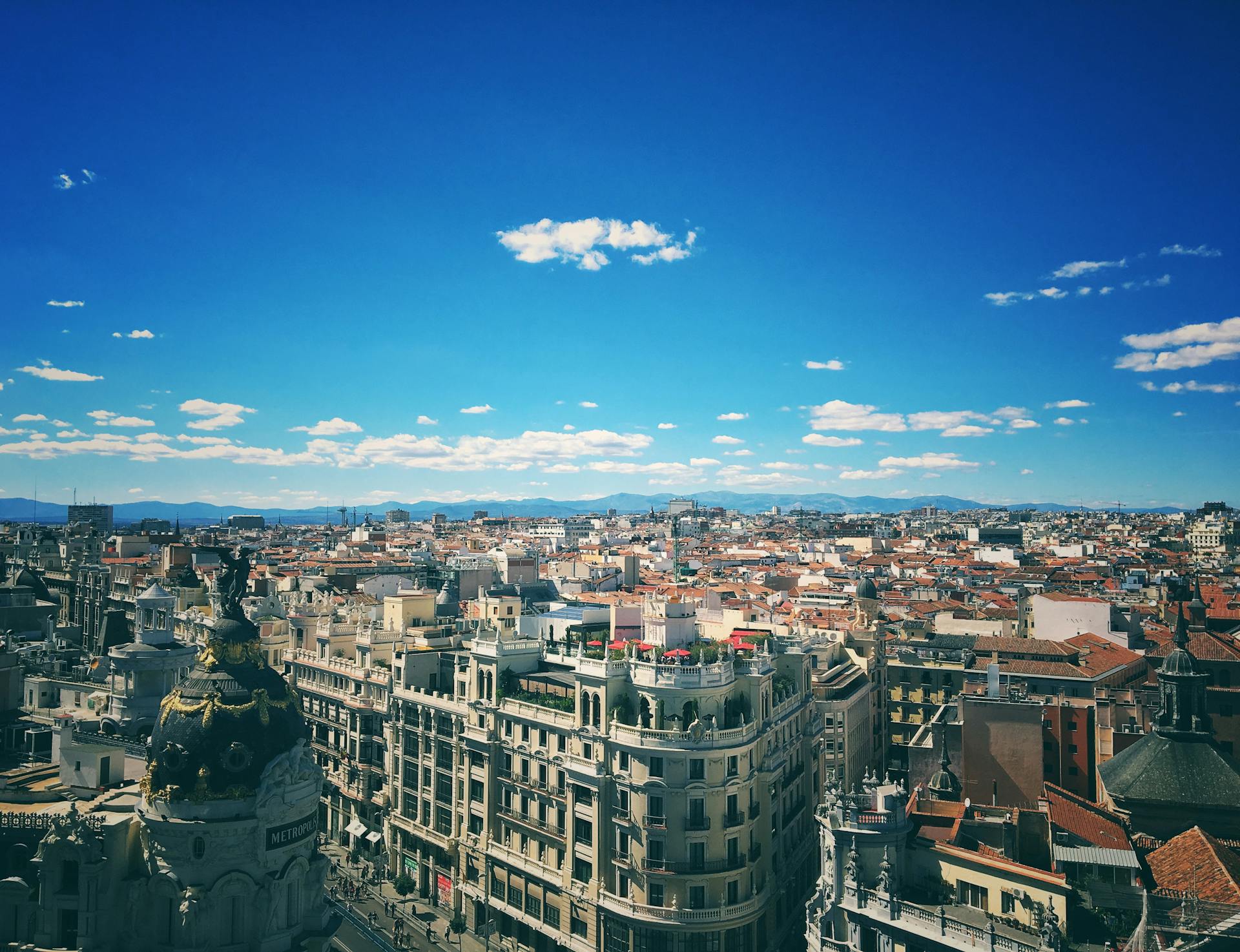 Dónde comprar buenos vinos en Madrid