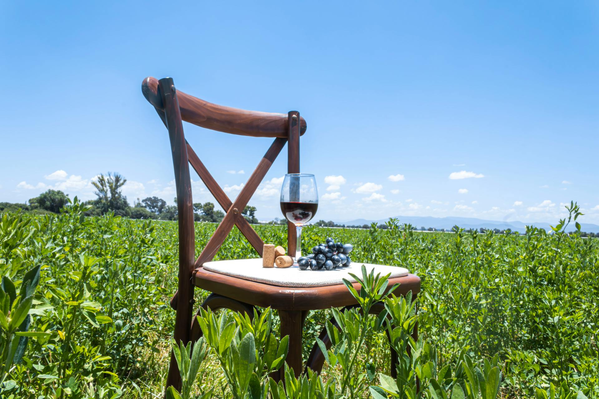 Cuáles son los mejores museos del vino de España